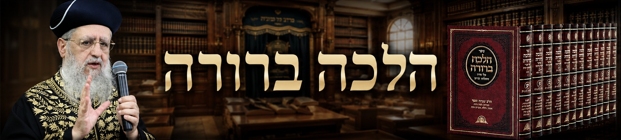 באנר - חזרה לדף הבית